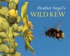 Angel, Heather Angel, Heather Angel - Heather Angel's Wild Kew