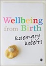 Rosemary Roberts, Roberts Rosemary - Wellbeing From Birth