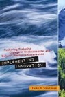 Toddi A. Steelman, Toddi A. (Executive Director and Professor Steelman, Steelman Toddi A., Beryl A. Radin - Implementing Innovation