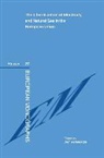 Geradin, Damien Geradin, Damien Geradin - The Liberalization of Electricity and Natural Gas in the European Union