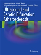 Kirk W Beach, Kirk W. Beach, Efthyvoulos Kyriacou, Efthyvoulos Kyriacou et al, Efthivoulos Kyriakou, Andrew Nicolaides... - Ultrasound and Carotid Bifurcation Atherosclerosis