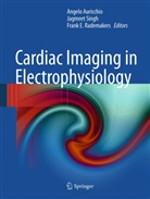 Angelo Auricchio, Frank E Rademakers, Frank E. Rademakers, Jag Singh, Jagmee Singh, Jagmeet Singh - Cardiac Imaging in Electrophysiology