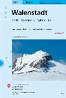 Bundesam für Landestopografie swisstopo, Bundesamt für Landestopografie swisstopo - Walenstadt