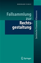 Bernhard Ulrici - Fallsammlung zur Rechtsgestaltung