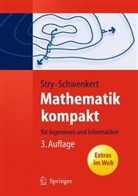 Rainer Schwenkert, Reiner Schwenkert, Yvonne Stry - Mathematik kompakt für Ingenieure und Informatiker