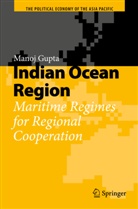 Manoj Gupta - Indian Ocean Region