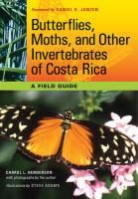 Carrol L Henderson, Carrol L. Henderson, Steve Adams - Butterflies, Moths, and Other Invertebrates of Costa Rica