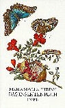 Maria S. Merian, Maria Sibylla Merian - Das Insektenbuch
