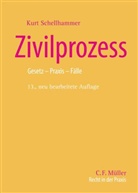 Kurt Schellhammer - Zivilprozess