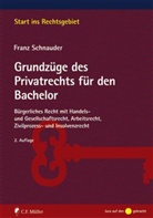 Franz Schnauder - Grundzüge des Privatrechts für den Bachelor
