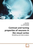 Davi Hansel, David Hansel, Ere Persi, Erez Persi, Carl Van, Carl van Vreeswijk - Contrast and tuning properties of neurons in the visual cortex