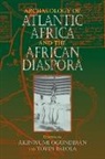 Akinwumi Falola Ogundiran, Akinwumi O. Falola Ogundiran, Toyin Falola, Akinwumi Ogundiran, Akinwumi O. Ogundiran - Archaeology of Atlantic Africa and the African Diaspora