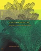 GEE CAROLE T, Dorothea Kranz, Carole T Gee, Carole T. Gee - Plants in Mesozoic Time