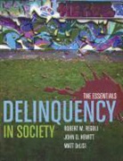 Matt Delisi, John D. Hewitt, Robert M. Regoli, Robert M. Hewitt Regoli - Delinquency in Society: The Essentials