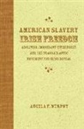 Angela F Murphy, Angela F. Murphy - American Slavery, Irish Freedom