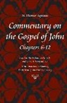 Saint Thomas Aquinas, Thomas Aquinas, Aquinas Thomas - Commentary on the Gospel of John, Books 6-10