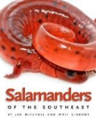 Whit Gibbons, Joe Mitchell, Joe/ Gibbons Mitchell - Salamanders of the Southeast