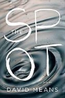David Means - The Spot