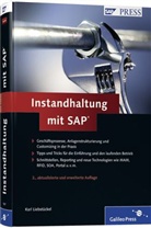 Karl Liebstückel - Instandhaltung mit SAP