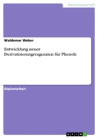 Waldemar Weber - Entwicklung neuer Derivatisierungreagenzien für Phenole