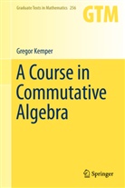 Gregor Kemper - A Course in Commutative Algebra