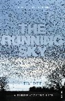 Tim Dee, Dee Tim - Running Sky
