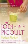 Jodi Picoult - Picture Perfect