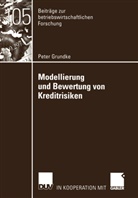 Peter Grundke - Modellierung und Bewertung von Kreditrisiken