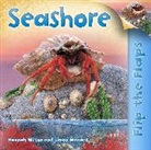 Simon Mendez, Hannah Wilson, Simon Mendez - Seashore