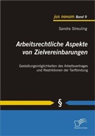 Sandra Streuling - Arbeitsrechtliche Aspekte von Zielvereinbarungen