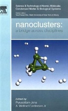 Purusottam Jena, A. W. Castleman, Jr. Castleman, Purusottam Jena - Nanoclusters