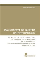 Daniel-Sebastian Karau - Was bestimmt die Spezifität einer Tyrosinkinase?