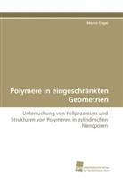 Martin Engel - Polymere in eingeschränkten Geometrien