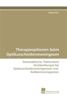 Stefan Dörr - Therapieoptionen beim Optikusscheidenmeningeom