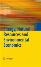 Endre Bjørndal, Mett Bjørndal, Mette Bjørndal, Panos M Pardalos et al, Panos M Pardalos, Panos M. Pardalos... - Energy, Natural Resources and Environmental Economics