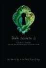 Elizabeth Chandler - Dark Secrets