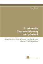 Nina M Link, Nina M. Link - Strukturelle Charakterisierung von pGolemi
