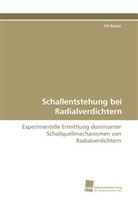 Till Raitor - Schallentstehung bei Radialverdichtern