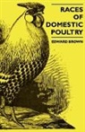 Edward Brown, J. C. Squire - Races of Domestic Poultry