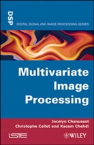 CHANUSSOT, J Chanussot, Jocely Chanussot, Jocelyn Chanussot, Jocelyn/ Collet Chanussot, Kace Chehdi... - Multivariate Image Processing