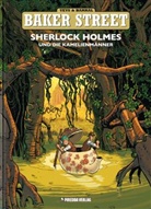 Barral, Nicolas Barral, Vey, Pierre Veys, Nicolas Barral, Mirk Piredda... - Baker Street - Bd.3: Baker Street - Sherlock Holmes und die Kamelienmänner