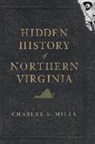 Charles A. Mills - Hidden History of Northern Virginia