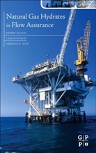 Carolyn Koh, Carolyn Ann Sum Koh, Dendy Sloan, Amadeu K. Sum, Amadeu Sum Sum, Carolyn Ann Koh... - Natural Gas Hydrates in Flow Assurance