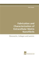 Peter Kaiser - Fabrication and Characterization of Extracellular Matrix Nanofibrils
