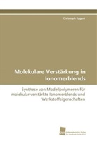 Christoph Eggert - Molekulare Verstärkung in Ionomerblends