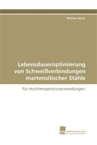 Mathias Bauer - Lebensdaueroptimierung von Schweißverbindungen martensitischer Stähle