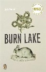 Carrie Fountain - Burn Lake