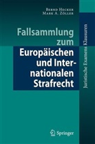 Hecke, Bern Hecker, Bernd Hecker, Zöller, Mark Zöller, Mark A Zöller... - Fallsammlung zum Europäischen und Internationalen Strafrecht