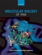 David Elliott, David Ladomery Elliott, Michael Ladomery - Molecular Biology of Rna
