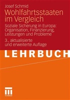 Josef Schmid - Wohlfahrtsstaaten im Vergleich